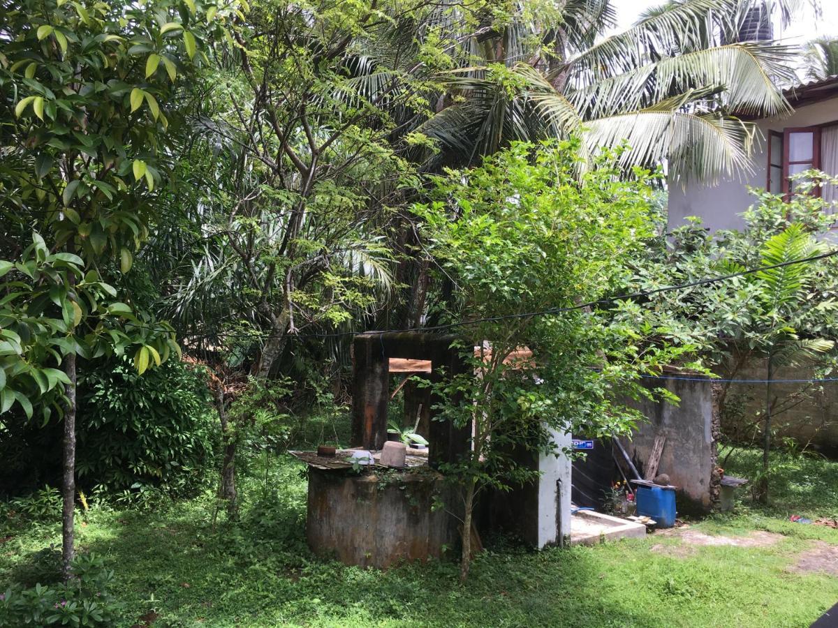 Wellington Hikkaduwa Exterior foto